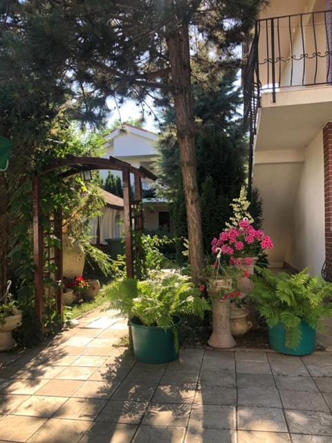 Hotel Suzana Garden Venus Exterior foto